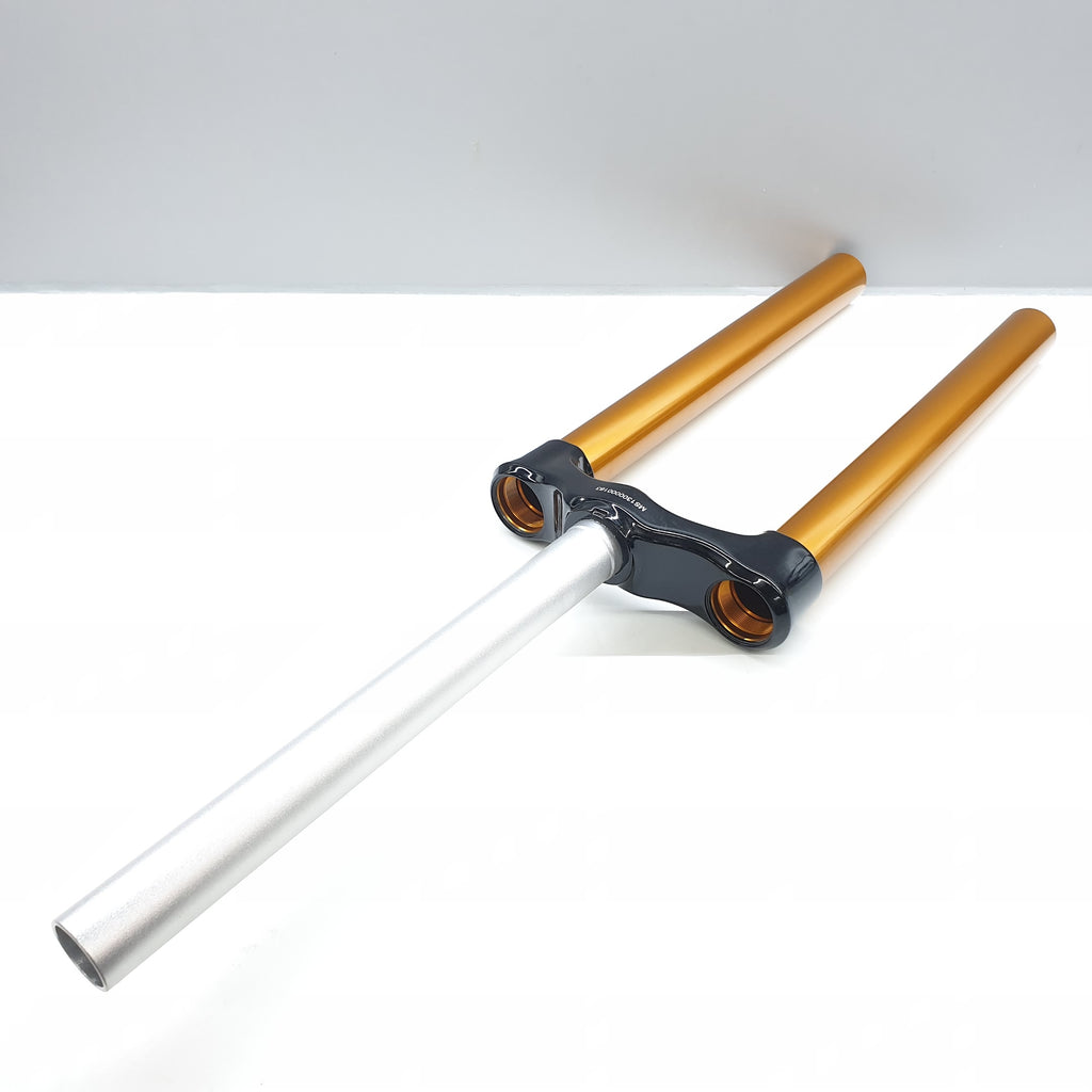 CSU EN 35GLD170/TT/ALSTR/GBLK/26/55 - BSB Bicycle Suspension Berlin