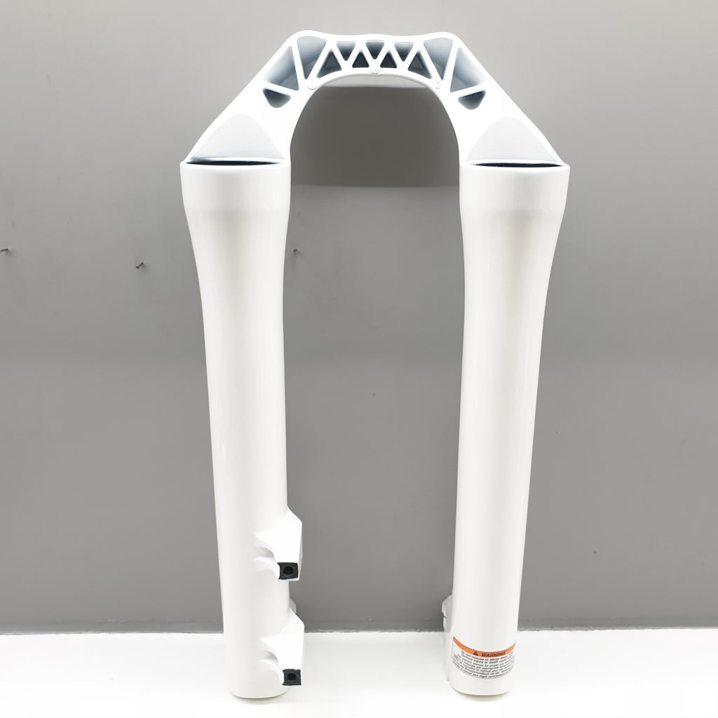 LOWER LEG DH 38/200/20TA/26IN GWHT 888 - BSB Bicycle Suspension Berlin