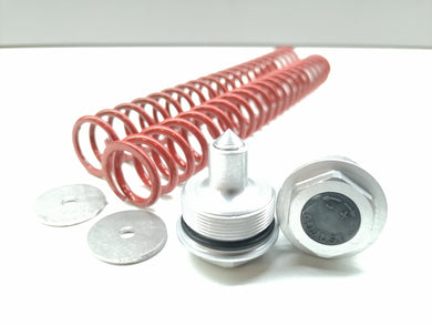 Feder Kit Air 100 mm Z5 A